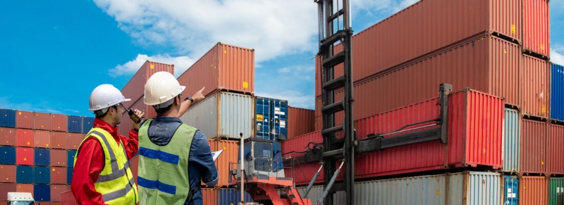 Custom-Agents-In-India-LAC-Relocation.jpg